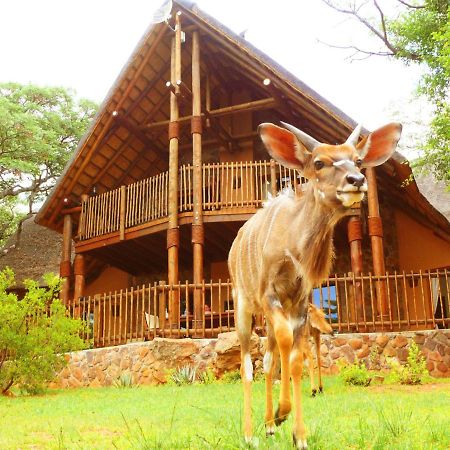 Kololo Game Reserve Ваалвотер Екстер'єр фото