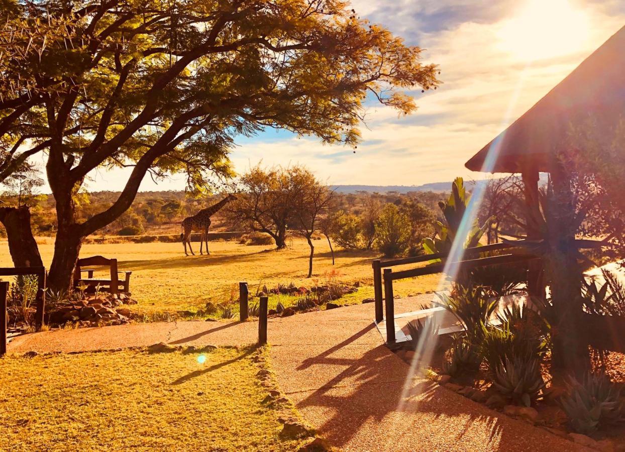 Kololo Game Reserve Ваалвотер Екстер'єр фото