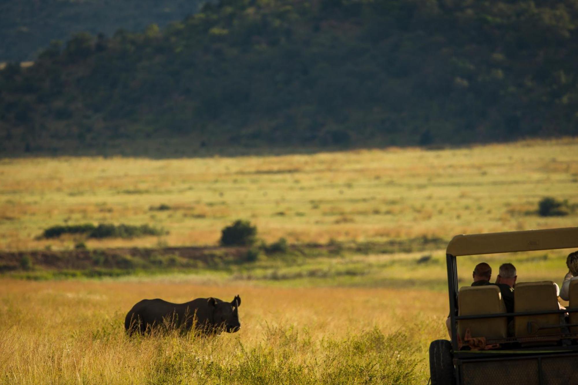 Kololo Game Reserve Ваалвотер Екстер'єр фото