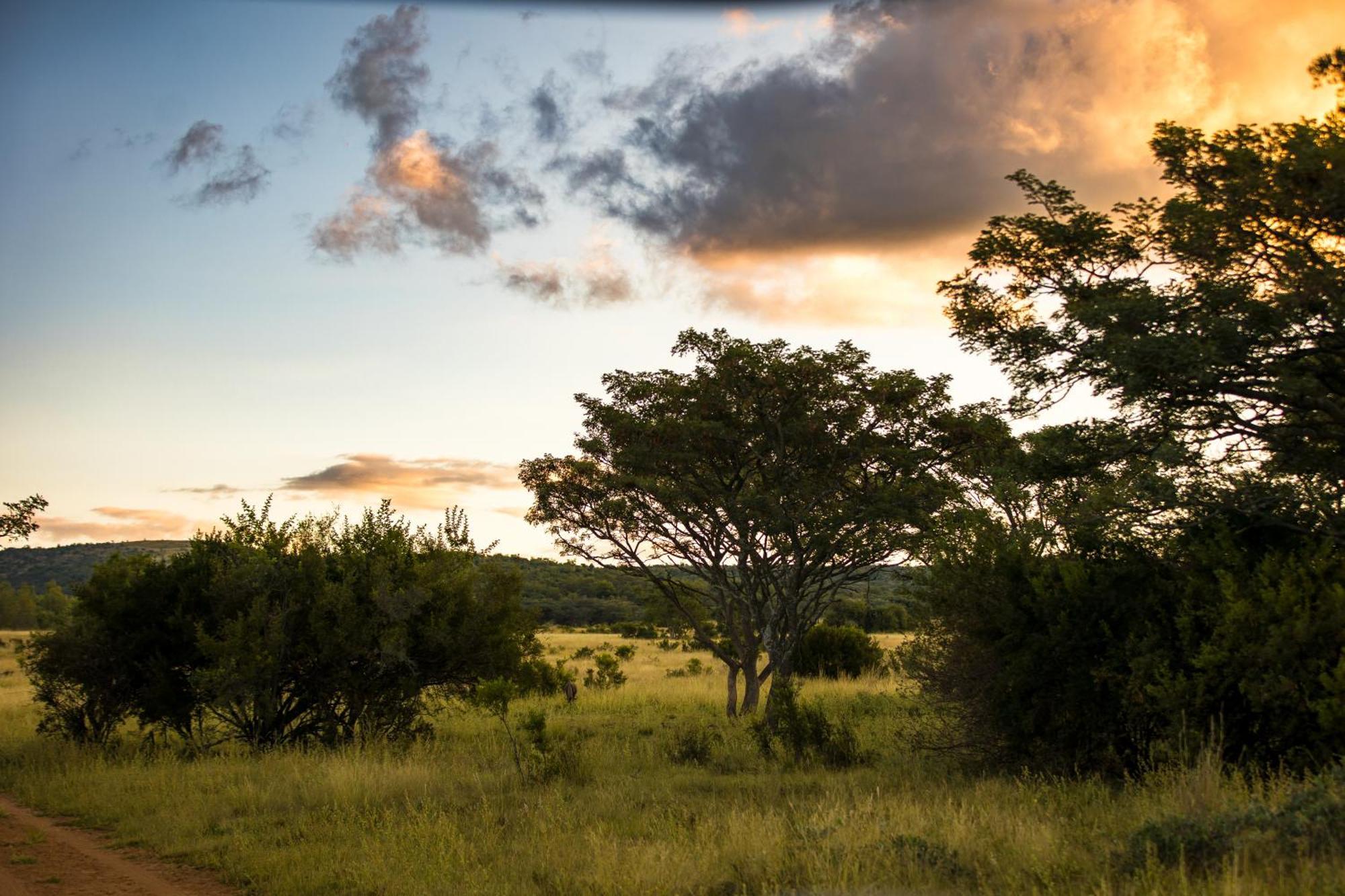 Kololo Game Reserve Ваалвотер Екстер'єр фото